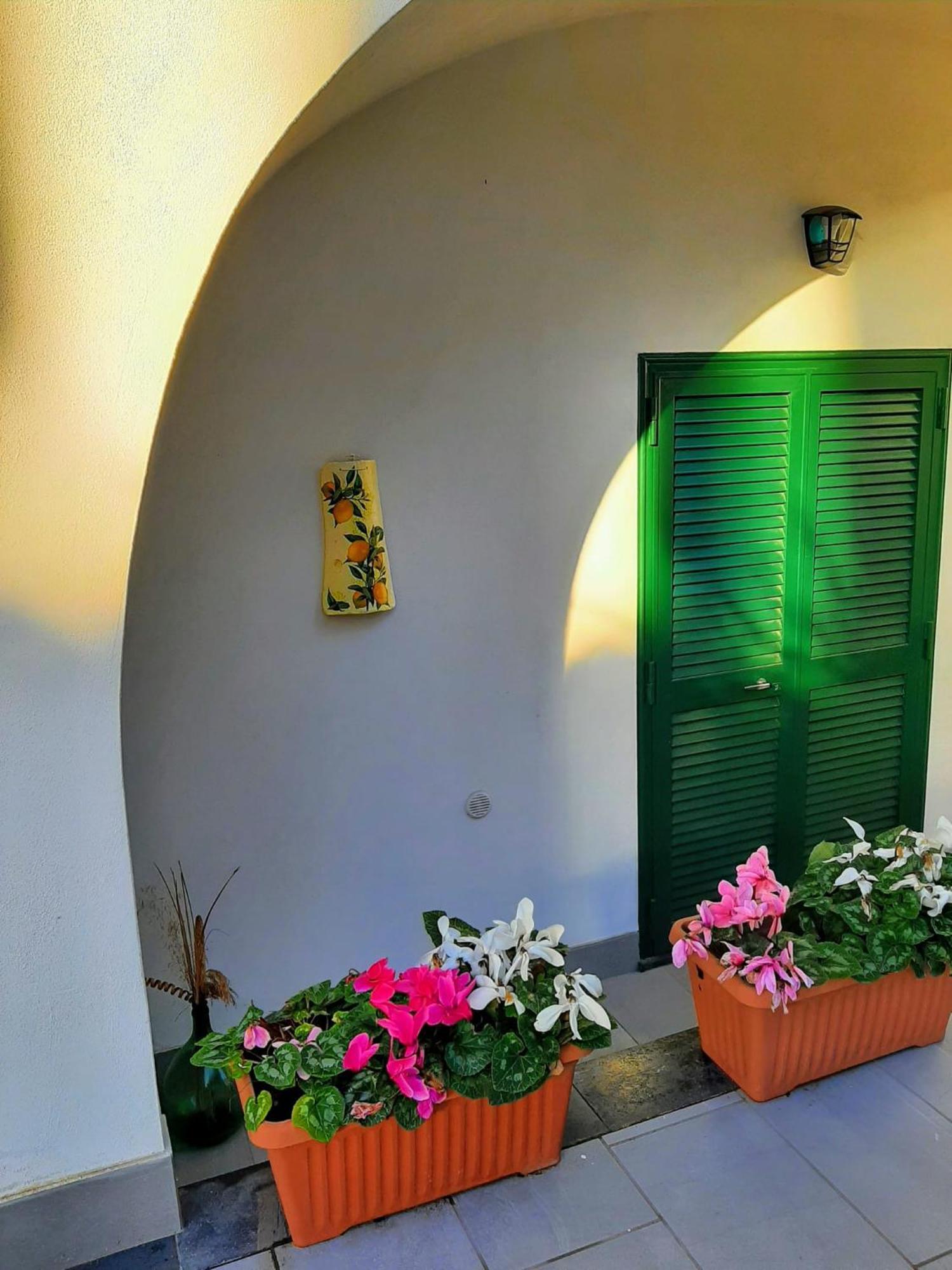 Lemon Tree Casa Vacanze Nel Verde Torre Annunziata Eksteriør billede