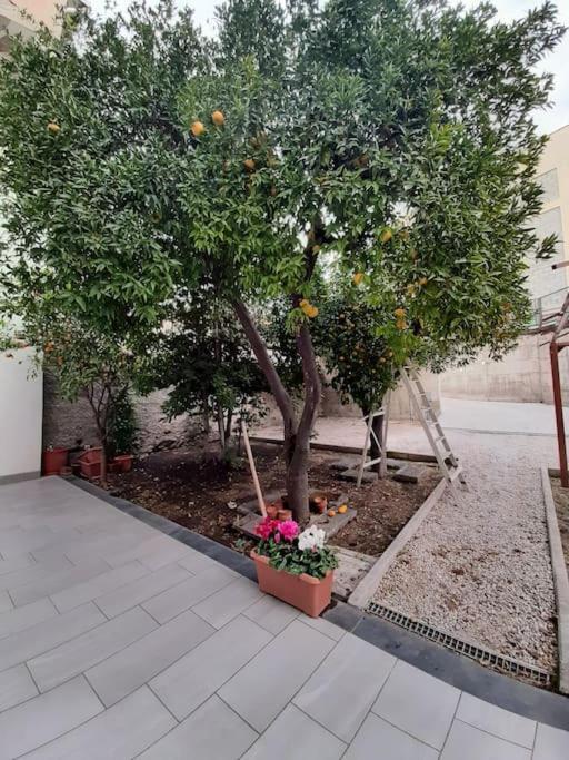 Lemon Tree Casa Vacanze Nel Verde Torre Annunziata Eksteriør billede